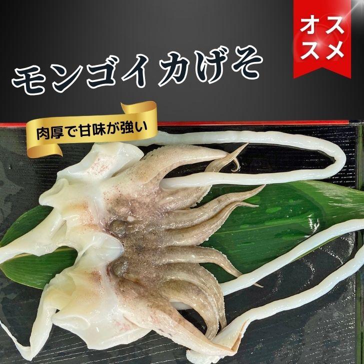 海老右衛門 モンゴイカゲソ 2/4サイズ 1kg(1kgに約2〜4入り) 肉厚で甘みの強いゲソ 塩焼き イカ下足 いか いかげそ バーベキュー おつまみ お弁当 業務用 |  | 01