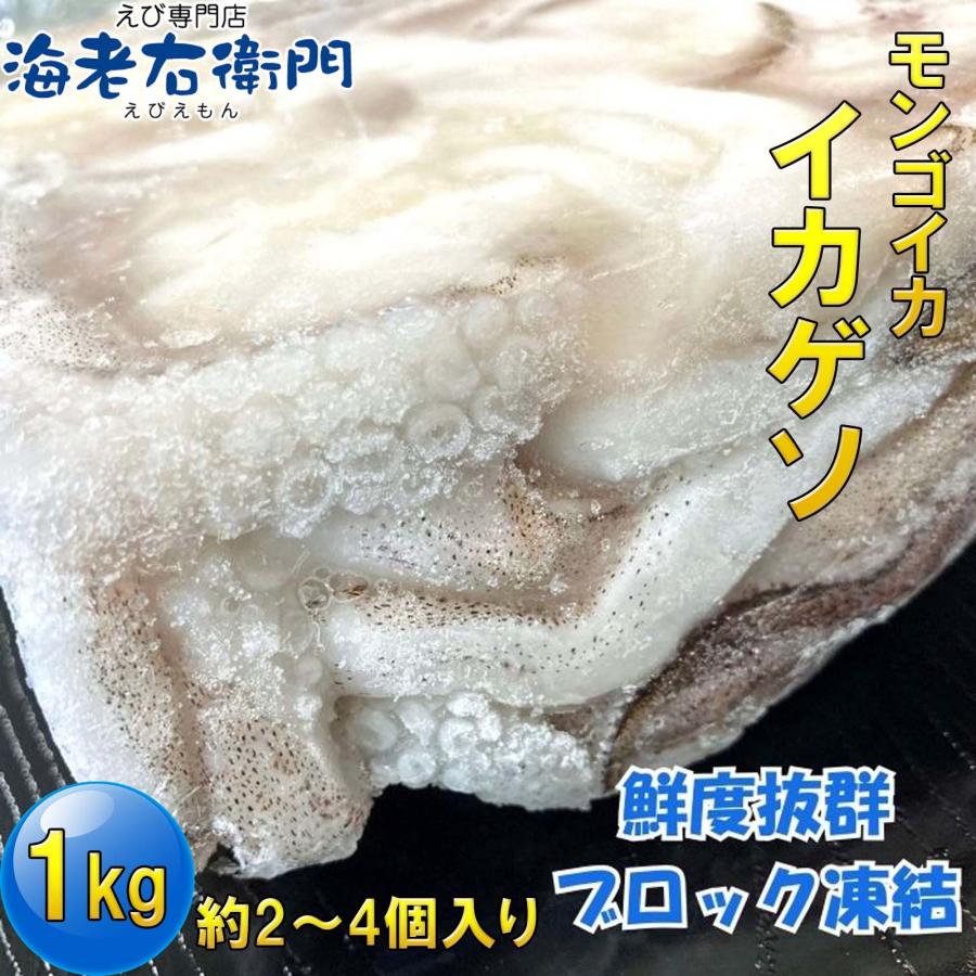 海老右衛門 モンゴイカゲソ 2/4サイズ 1kg(1kgに約2〜4入り) 肉厚で甘みの強いゲソ 塩焼き イカ下足 いか いかげそ バーベキュー おつまみ お弁当 業務用 |  | 04