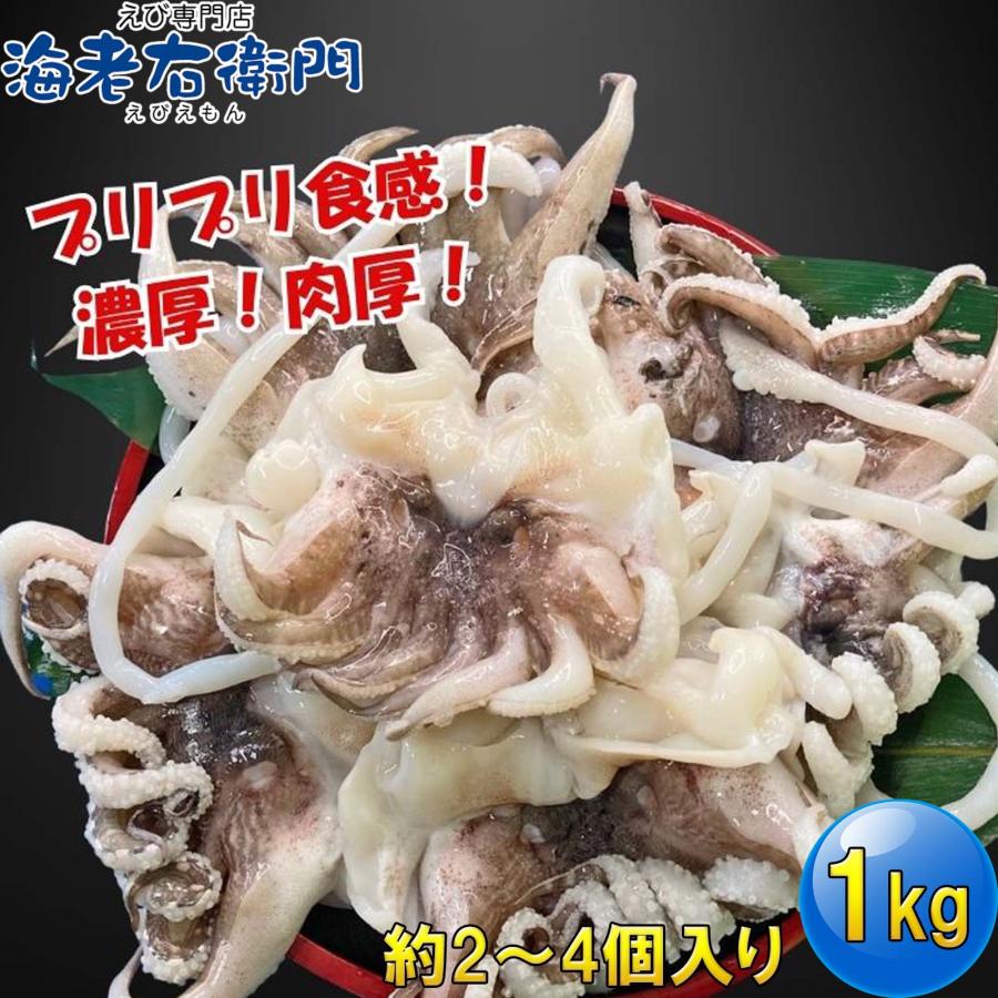 海老右衛門 モンゴイカゲソ 2/4サイズ 1kg(1kgに約2〜4入り) 肉厚で甘みの強いゲソ 塩焼き イカ下足 いか いかげそ バーベキュー おつまみ お弁当 業務用 |  | 05