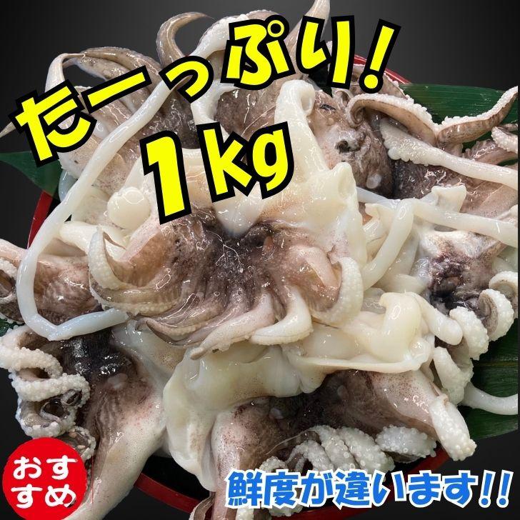 海老右衛門 モンゴイカゲソ 2/4サイズ 1kg(1kgに約2〜4入り) 肉厚で甘みの強いゲソ 塩焼き イカ下足 いか いかげそ バーベキュー おつまみ お弁当 業務用 |  | 10