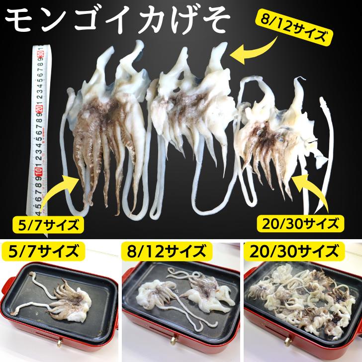 海老右衛門 モンゴイカゲソ 5/7サイズ 1kg(1kgに約5〜7入り) 肉厚で甘みの強いゲソ 塩焼き イカ下足 いか いかげそ バーベキュー おつまみ お弁当 業務用 |  | 13