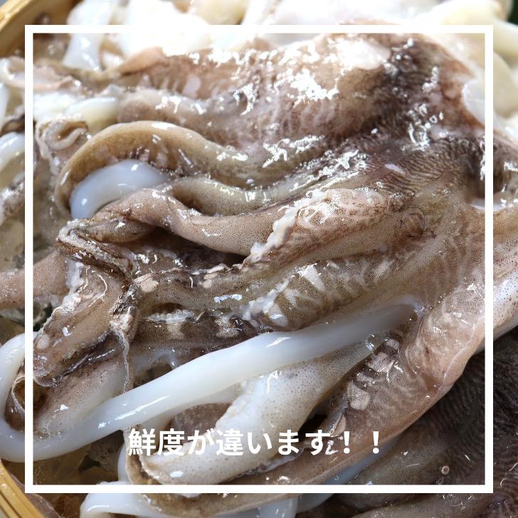 海老右衛門 モンゴイカゲソ 5/7サイズ 1kg(1kgに約5〜7入り) 肉厚で甘みの強いゲソ 塩焼き イカ下足 いか いかげそ バーベキュー おつまみ お弁当 業務用 |  | 14