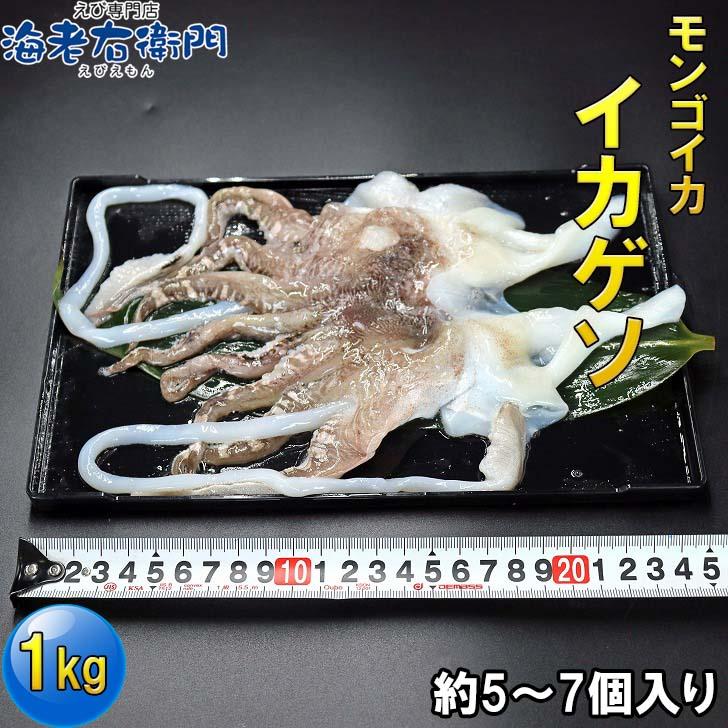 海老右衛門 モンゴイカゲソ 5/7サイズ 1kg(1kgに約5〜7入り) 肉厚で甘みの強いゲソ 塩焼き イカ下足 いか いかげそ バーベキュー おつまみ お弁当 業務用 |  | 02