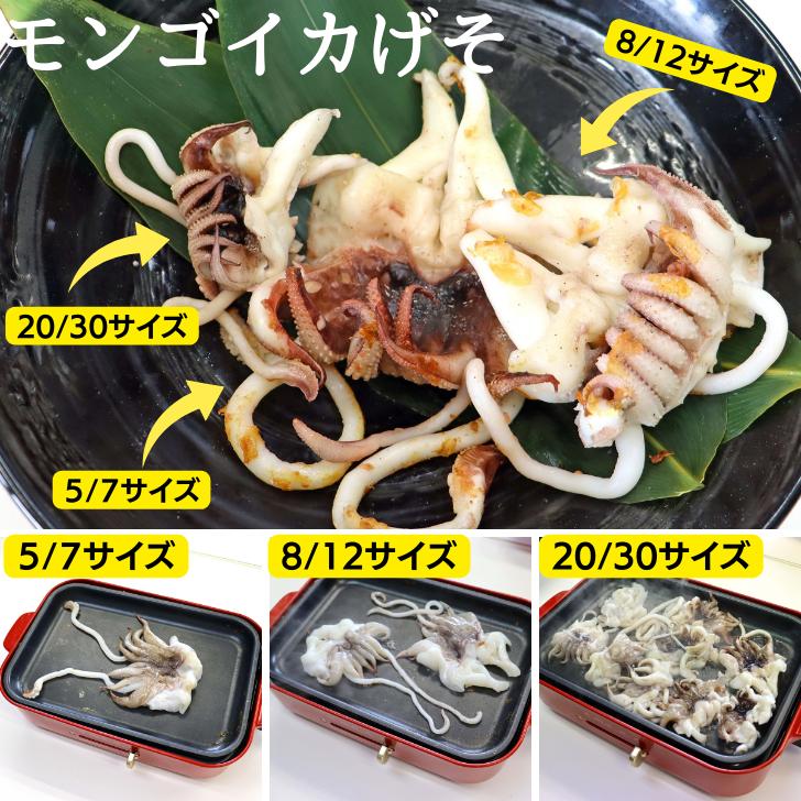 海老右衛門 モンゴイカゲソ 5/7サイズ 1kg(1kgに約5〜7入り) 肉厚で甘みの強いゲソ 塩焼き イカ下足 いか いかげそ バーベキュー おつまみ お弁当 業務用 |  | 08