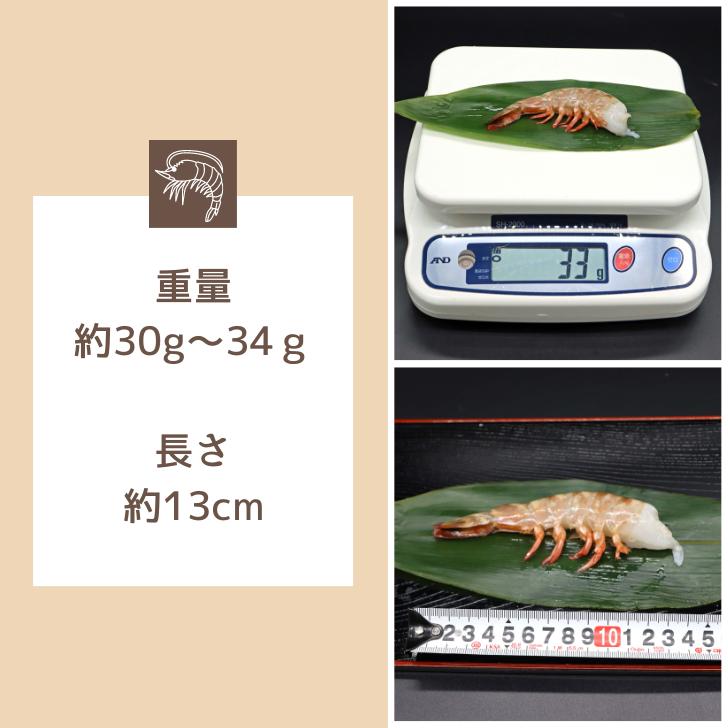 天然！フラワー海老 13/15 特大サイズ 52尾から60尾入り 900gX2 1.8kg 冷凍エビ 冷凍えび 天然海老 天然エビ アシアカ無頭海老 業務用 |  | 11