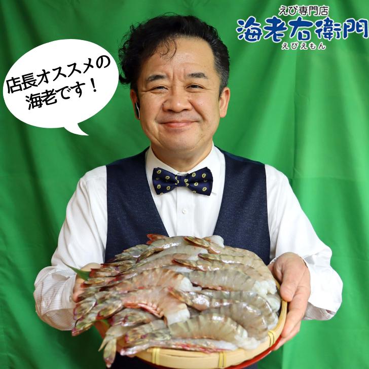 天然！フラワー海老 13/15 特大サイズ 52尾から60尾入り 900gX2 1.8kg 冷凍エビ 冷凍えび 天然海老 天然エビ アシアカ無頭海老 業務用 |  | 13