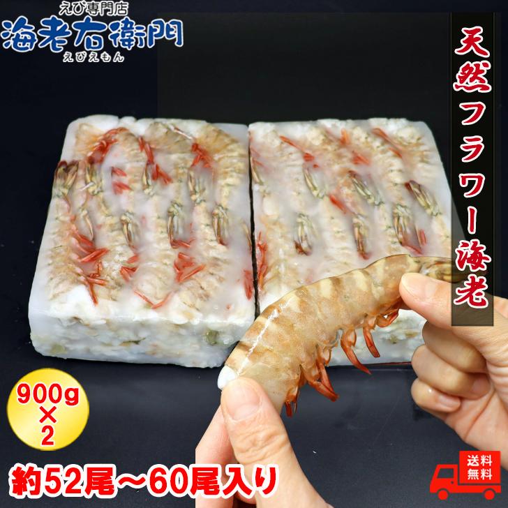 天然！フラワー海老 13/15 特大サイズ 52尾から60尾入り 900gX2 1.8kg 冷凍エビ 冷凍えび 天然海老 天然エビ アシアカ無頭海老 業務用 |  | 01