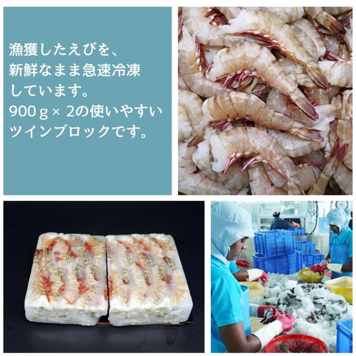 天然！フラワー海老 13/15 特大サイズ 52尾から60尾入り 900gX2 1.8kg 冷凍エビ 冷凍えび 天然海老 天然エビ アシアカ無頭海老 業務用 |  | 07