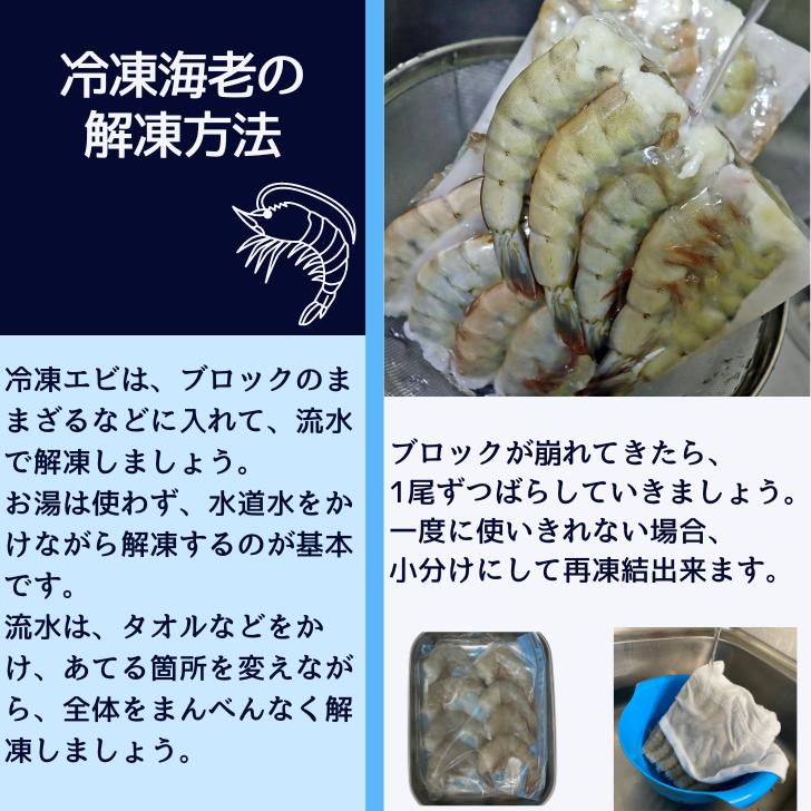 天然！フラワー海老 13/15 特大サイズ 52尾から60尾入り 900gX2 1.8kg 冷凍エビ 冷凍えび 天然海老 天然エビ アシアカ無頭海老 業務用 |  | 09