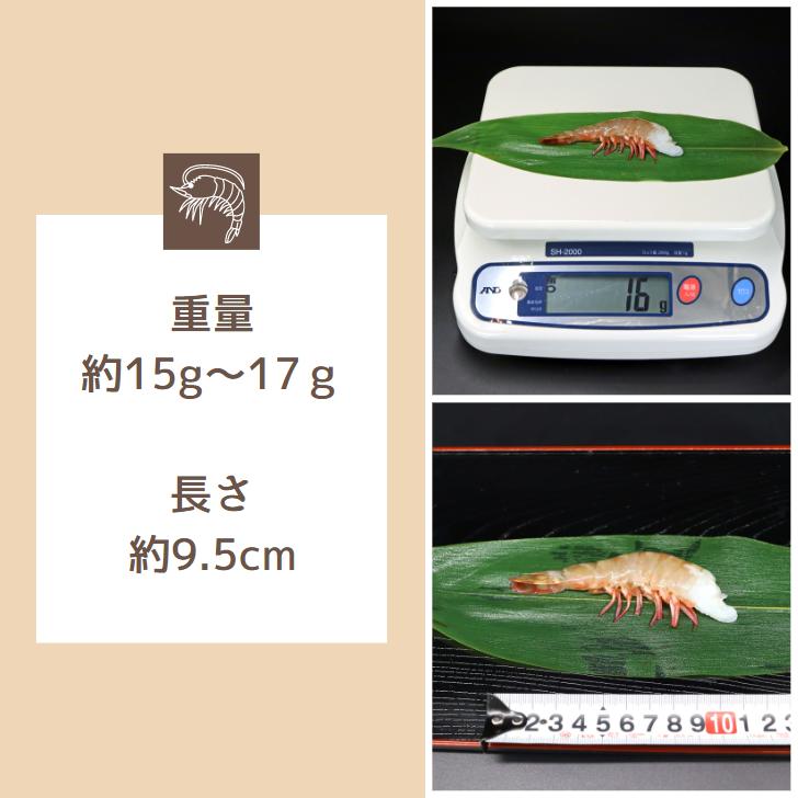 天然！フラワー海老 26/30 中サイズ 104尾から120尾入り 900gX2 1.8kg  冷凍エビ 冷凍えび 天然海老 天然エビ アシアカ無頭海老 業務用 |  | 11