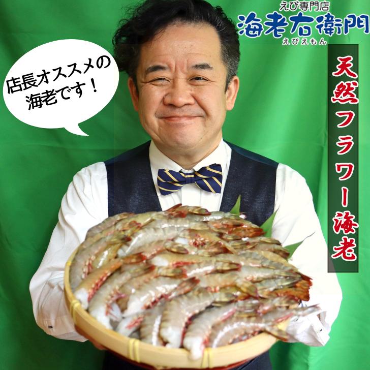 天然！フラワー海老 26/30 中サイズ 104尾から120尾入り 900gX2 1.8kg  冷凍エビ 冷凍えび 天然海老 天然エビ アシアカ無頭海老 業務用 |  | 14