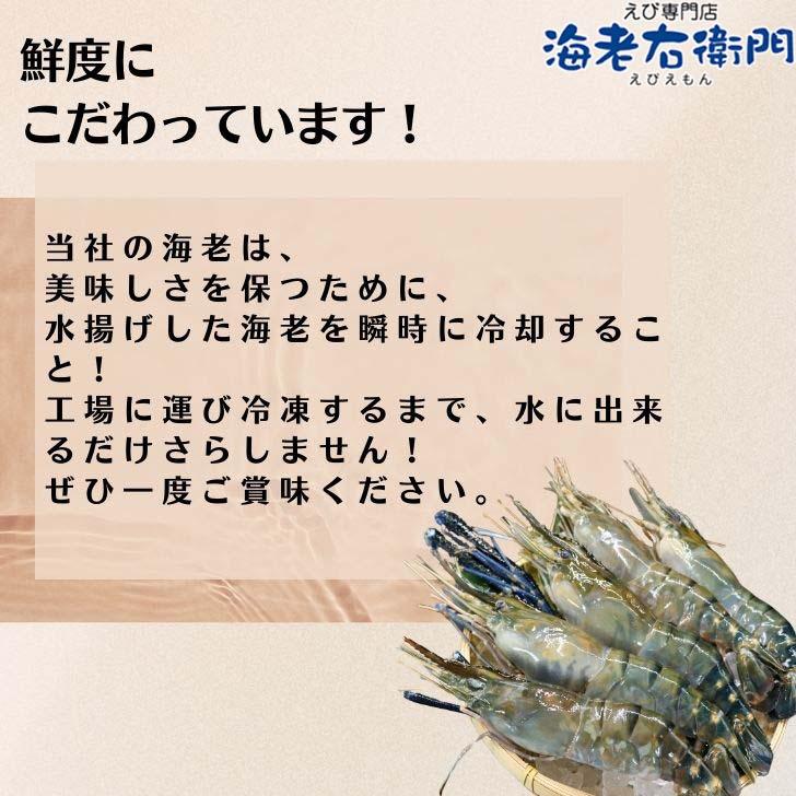 天然オニテナガエビ 超超特大サイズ 約20尾〜27尾入り 150g/200gサイズ 4kgです。アジアンロブスター 特大 巨大 天然海老 天然えび 有頭えび 業務用 |  | 12