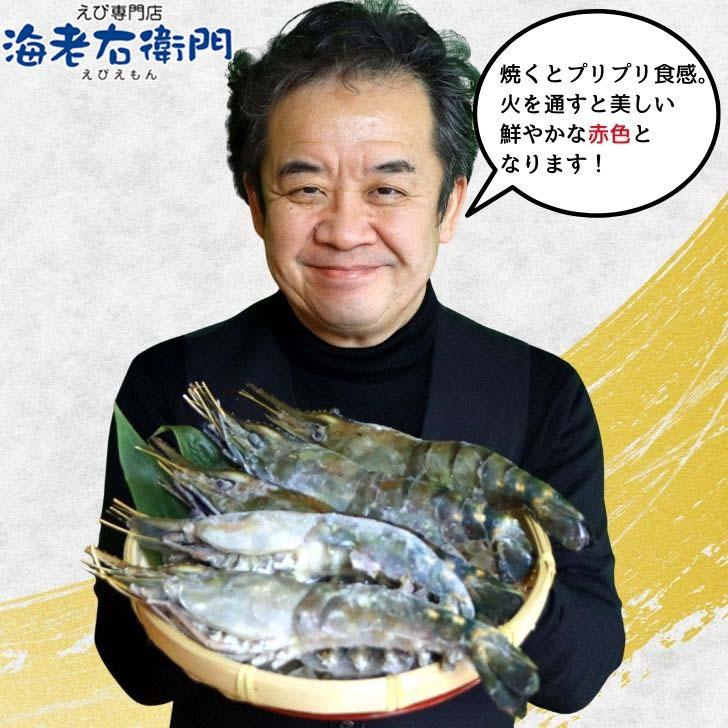 天然オニテナガエビ 超超特大サイズ 約20尾〜27尾入り 150g/200gサイズ 4kgです。アジアンロブスター 特大 巨大 天然海老 天然えび 有頭えび 業務用 |  | 13