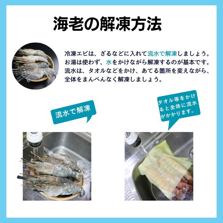 天然オニテナガエビ 超超特大サイズ 約20尾〜27尾入り 150g/200gサイズ 4kgです。アジアンロブスター 特大 巨大 天然海老 天然えび 有頭えび 業務用 |  | 14