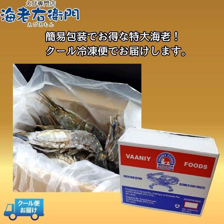 天然オニテナガエビ 超超特大サイズ 約20尾〜27尾入り 150g/200gサイズ 4kgです。アジアンロブスター 特大 巨大 天然海老 天然えび 有頭えび 業務用 |  | 15