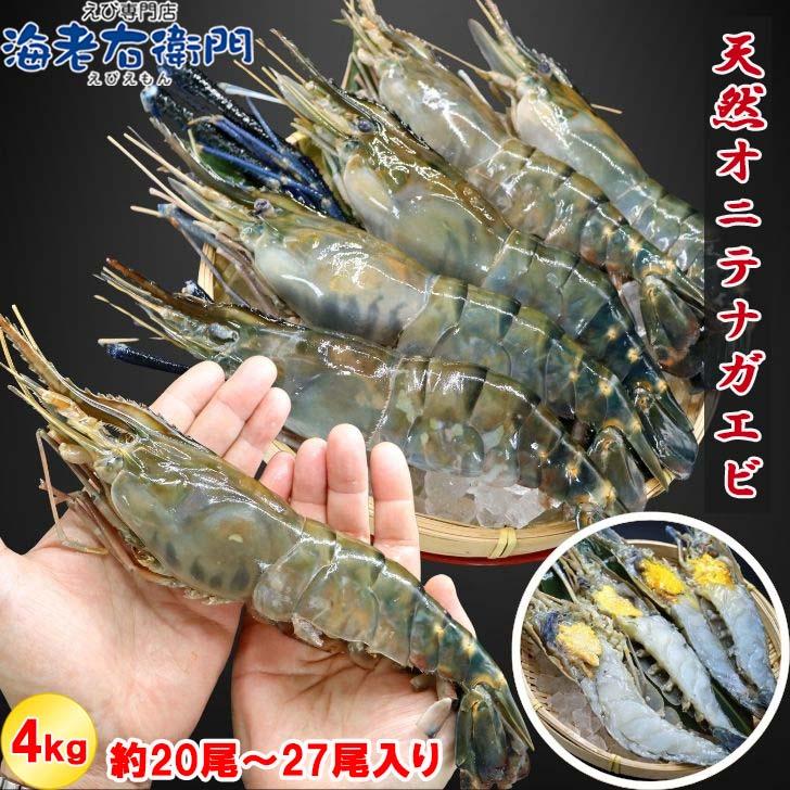 天然オニテナガエビ 超超特大サイズ 約20尾〜27尾入り 150g/200gサイズ 4kgです。アジアンロブスター 特大 巨大 天然海老 天然えび 有頭えび 業務用 |  | 01