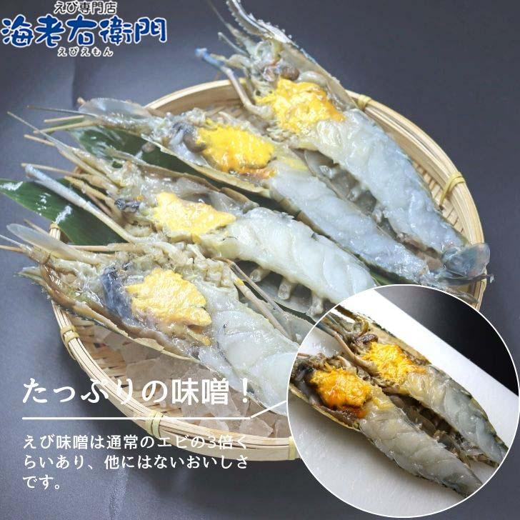 天然オニテナガエビ 超超特大サイズ 約20尾〜27尾入り 150g/200gサイズ 4kgです。アジアンロブスター 特大 巨大 天然海老 天然えび 有頭えび 業務用 |  | 03