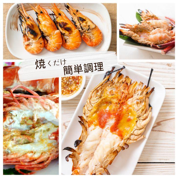 天然オニテナガエビ 超超特大サイズ 約20尾〜27尾入り 150g/200gサイズ 4kgです。アジアンロブスター 特大 巨大 天然海老 天然えび 有頭えび 業務用 |  | 04