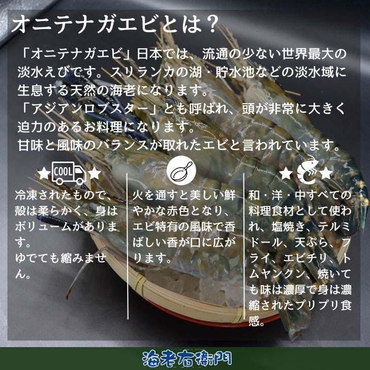 天然オニテナガエビ 超超特大サイズ 約20尾〜27尾入り 150g/200gサイズ 4kgです。アジアンロブスター 特大 巨大 天然海老 天然えび 有頭えび 業務用 |  | 06