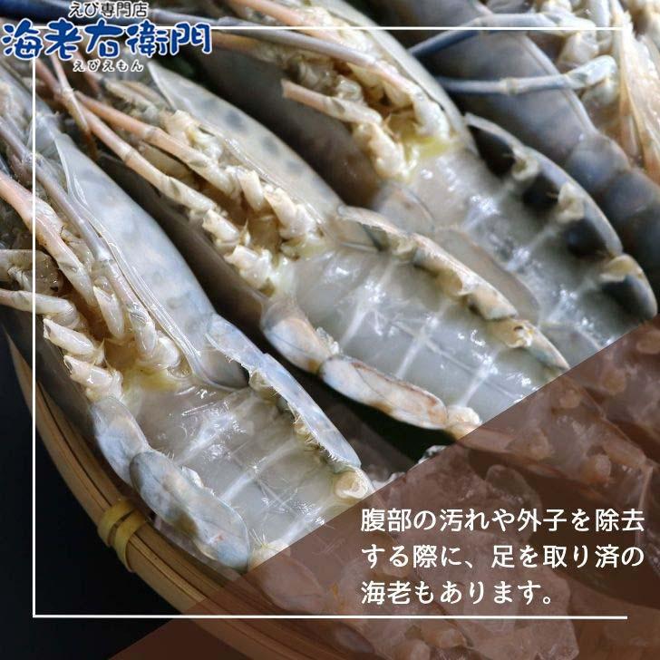 天然オニテナガエビ 超超特大サイズ 約20尾〜27尾入り 150g/200gサイズ 4kgです。アジアンロブスター 特大 巨大 天然海老 天然えび 有頭えび 業務用 |  | 07