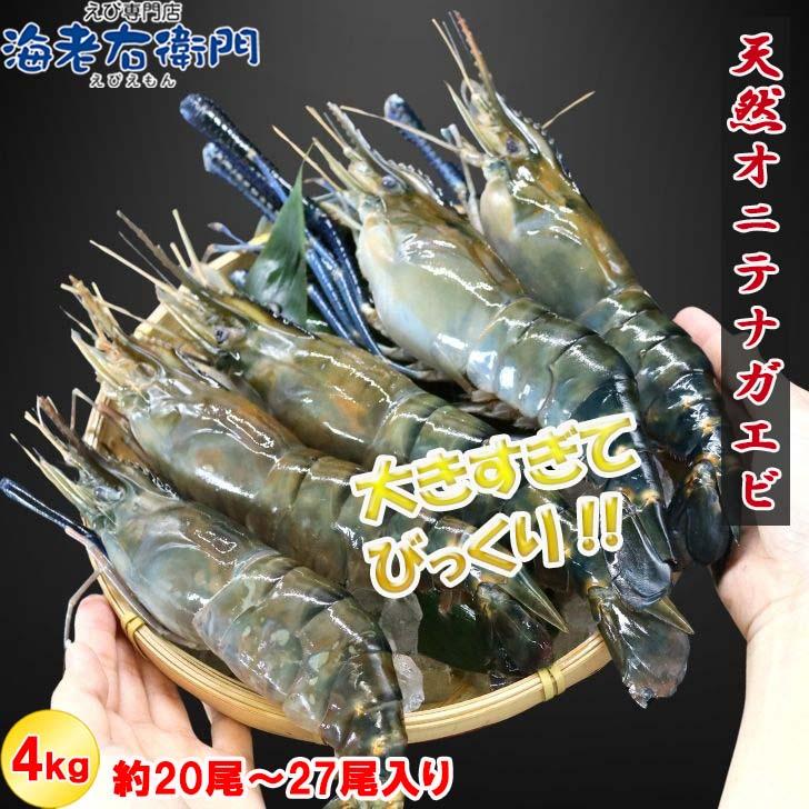 天然オニテナガエビ 超超特大サイズ 約20尾〜27尾入り 150g/200gサイズ 4kgです。アジアンロブスター 特大 巨大 天然海老 天然えび 有頭えび 業務用 |  | 08