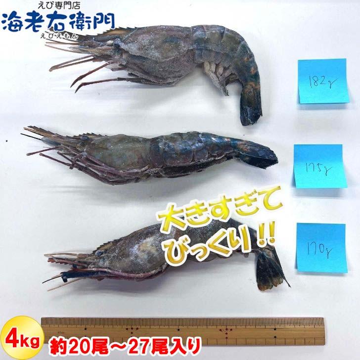 天然オニテナガエビ 超超特大サイズ 約20尾〜27尾入り 150g/200gサイズ 4kgです。アジアンロブスター 特大 巨大 天然海老 天然えび 有頭えび 業務用 |  | 09