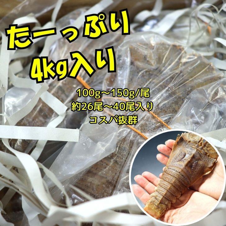 スリッパロブスター 4kg 約26〜40尾入り スリランカ産 加熱用 うちわえびのような食感と旨み 希少 海老 高級 濃厚 甘み BBQ 塩焼き 蒸し料理 業務用 大容量 |  | 16