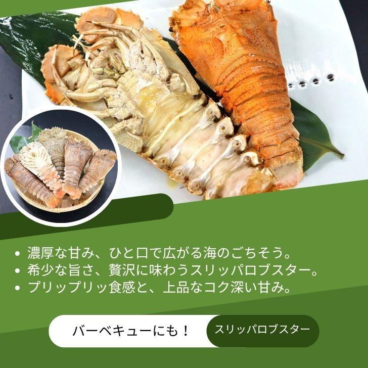 スリッパロブスター 4kg 約26〜40尾入り スリランカ産 加熱用 うちわえびのような食感と旨み 希少 海老 高級 濃厚 甘み BBQ 塩焼き 蒸し料理 業務用 大容量 |  | 02