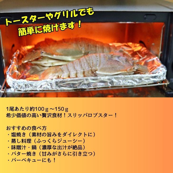 スリッパロブスター 4kg 約26〜40尾入り スリランカ産 加熱用 うちわえびのような食感と旨み 希少 海老 高級 濃厚 甘み BBQ 塩焼き 蒸し料理 業務用 大容量 |  | 06