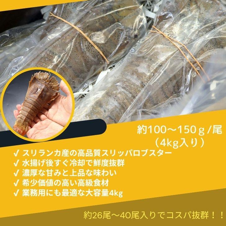 スリッパロブスター 4kg 約26〜40尾入り スリランカ産 加熱用 うちわえびのような食感と旨み 希少 海老 高級 濃厚 甘み BBQ 塩焼き 蒸し料理 業務用 大容量 |  | 08