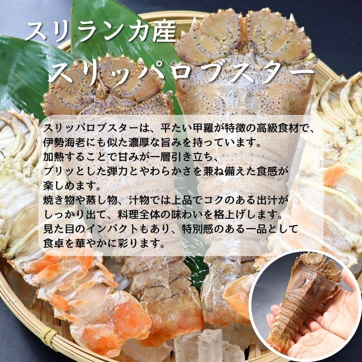 スリッパロブスター 4kg 約26〜40尾入り スリランカ産 加熱用 うちわえびのような食感と旨み 希少 海老 高級 濃厚 甘み BBQ 塩焼き 蒸し料理 業務用 大容量 |  | 07