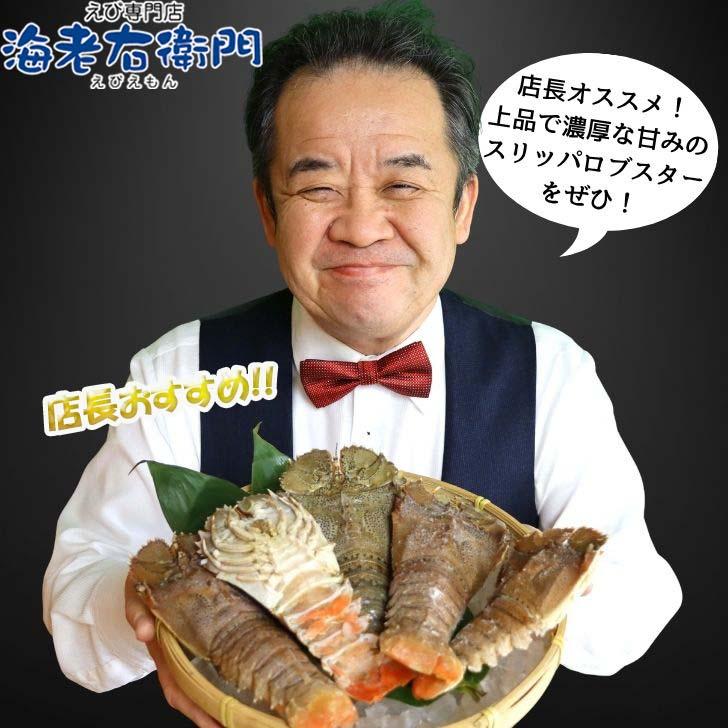 スリッパロブスター 4kg 約26〜40尾入り スリランカ産 加熱用 うちわえびのような食感と旨み 希少 海老 高級 濃厚 甘み BBQ 塩焼き 蒸し料理 業務用 大容量 |  | 14