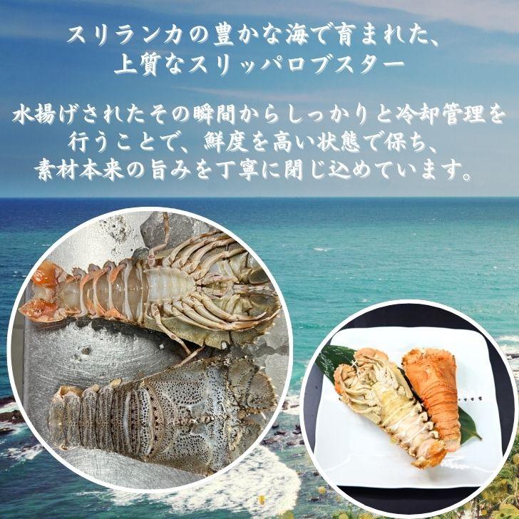 スリッパロブスター 4kg 約26〜40尾入り スリランカ産 加熱用 うちわえびのような食感と旨み 希少 海老 高級 濃厚 甘み BBQ 塩焼き 蒸し料理 業務用 大容量 |  | 09