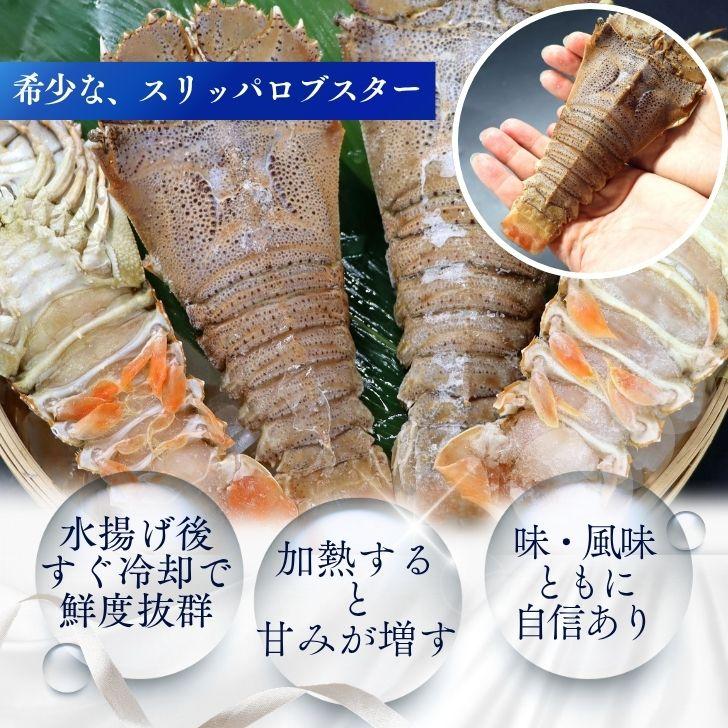 スリッパロブスター 4kg 約26〜40尾入り スリランカ産 加熱用 うちわえびのような食感と旨み 希少 海老 高級 濃厚 甘み BBQ 塩焼き 蒸し料理 業務用 大容量 |  | 05