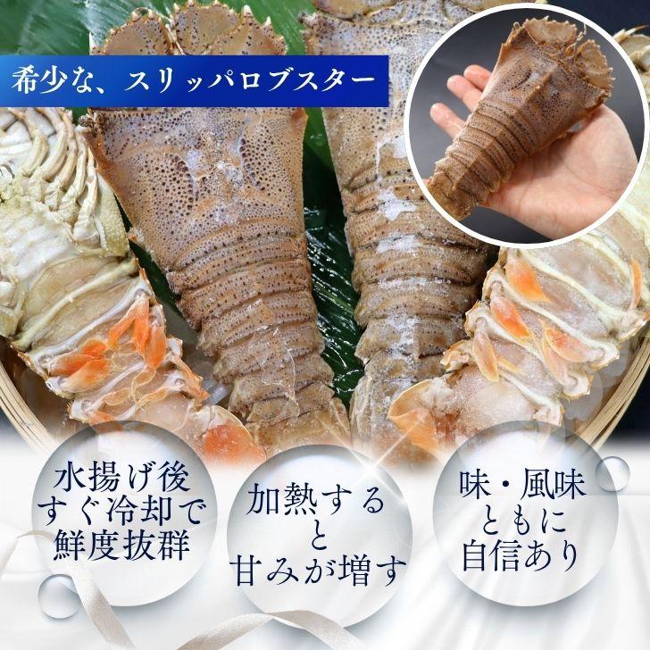 スリッパロブスター 4kg 約20〜26尾入り スリランカ産 加熱用 うちわえびのような食感と旨み 希少 海老 高級 濃厚 甘み BBQ 塩焼き 蒸し料理 業務用 大容量 |  | 05