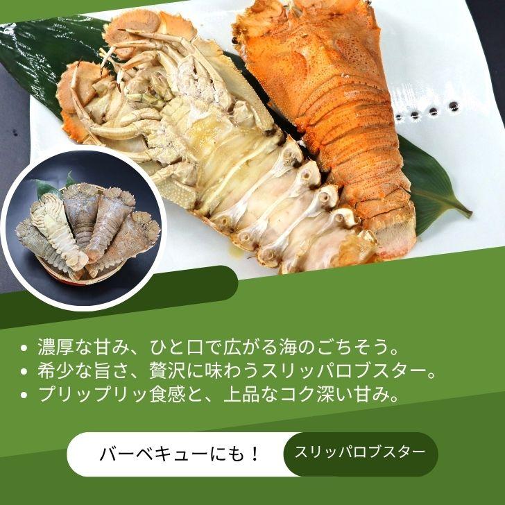 スリッパロブスター 4kg 約20〜26尾入り スリランカ産 加熱用 うちわえびのような食感と旨み 希少 海老 高級 濃厚 甘み BBQ 塩焼き 蒸し料理 業務用 大容量 |  | 02