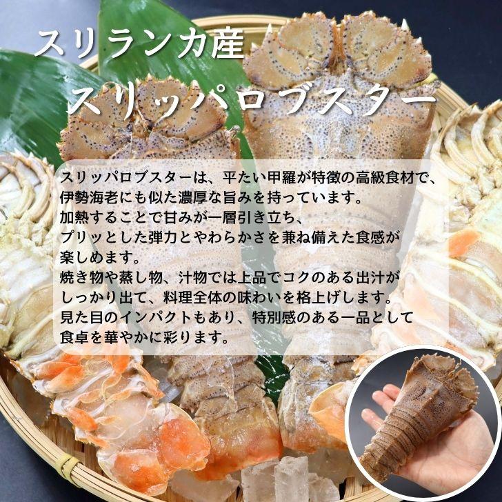 スリッパロブスター 4kg 約20〜26尾入り スリランカ産 加熱用 うちわえびのような食感と旨み 希少 海老 高級 濃厚 甘み BBQ 塩焼き 蒸し料理 業務用 大容量 |  | 07