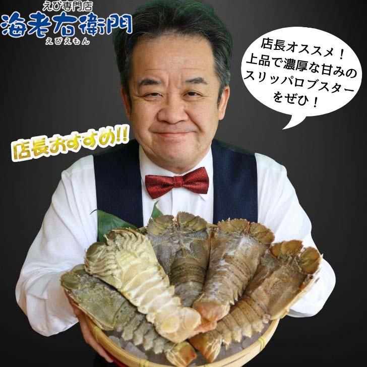 スリッパロブスター 4kg 約20〜26尾入り スリランカ産 加熱用 うちわえびのような食感と旨み 希少 海老 高級 濃厚 甘み BBQ 塩焼き 蒸し料理 業務用 大容量 |  | 14