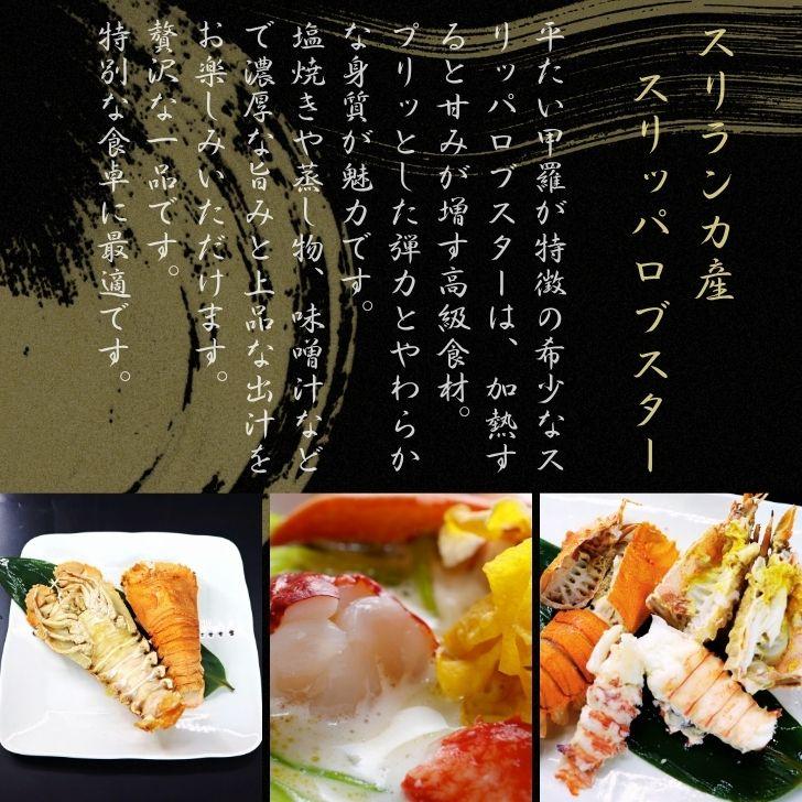 スリッパロブスター 4kg 約20〜26尾入り スリランカ産 加熱用 うちわえびのような食感と旨み 希少 海老 高級 濃厚 甘み BBQ 塩焼き 蒸し料理 業務用 大容量 |  | 04