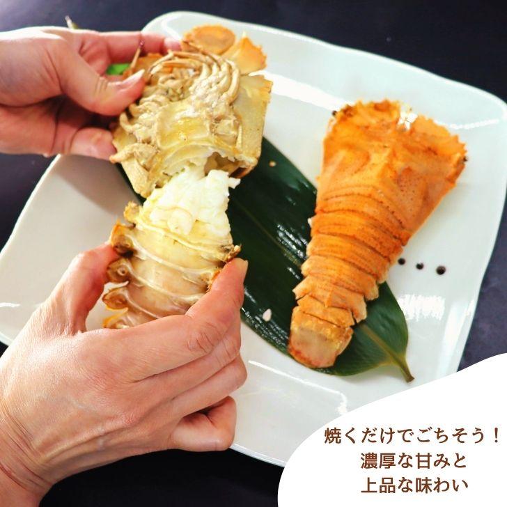 スリッパロブスター 4kg 約20〜26尾入り スリランカ産 加熱用 うちわえびのような食感と旨み 希少 海老 高級 濃厚 甘み BBQ 塩焼き 蒸し料理 業務用 大容量 |  | 16