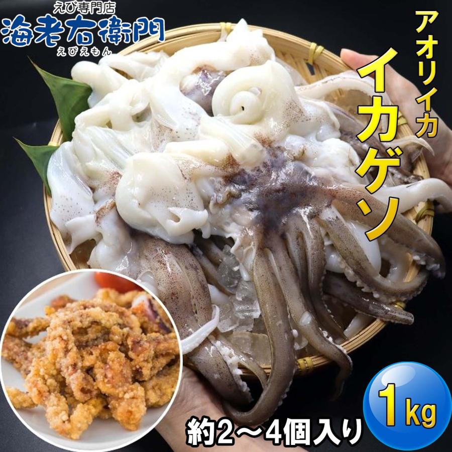 海老右衛門 アオリイカゲソ 2/4サイズ 1kg(1kgに約2〜4入り) 柔らかくて甘みの強いゲソ 塩焼き イカ下足 いか いかげそ バーベキュー おつまみ お弁当 業務用 | 