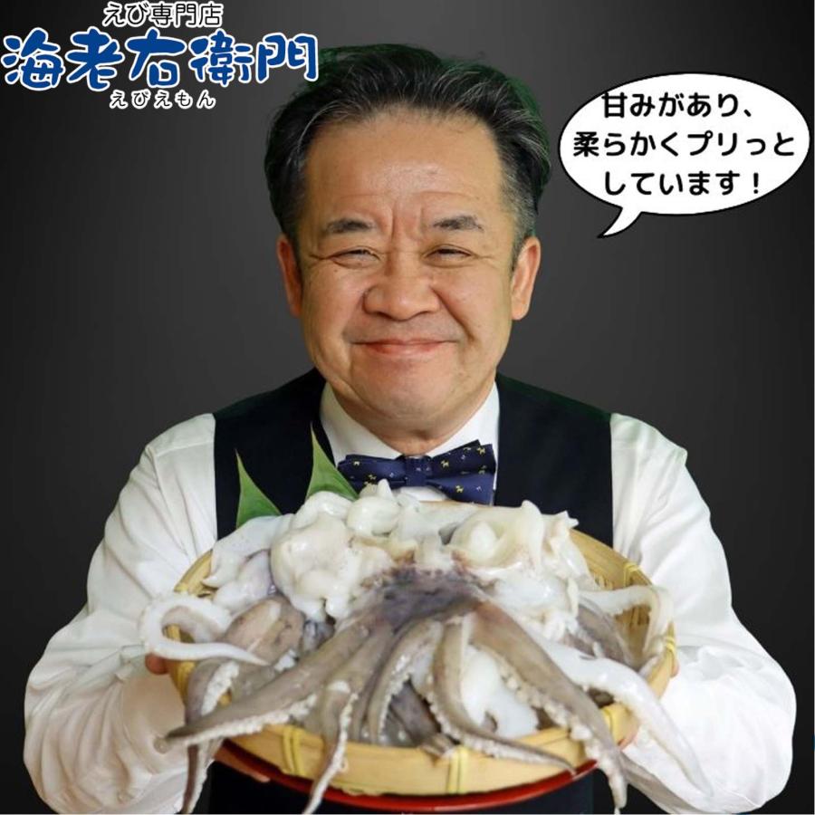 海老右衛門 アオリイカゲソ 2/4サイズ 1kg(1kgに約2〜4入り) 柔らかくて甘みの強いゲソ 塩焼き イカ下足 いか いかげそ バーベキュー おつまみ お弁当 業務用 |  | 12