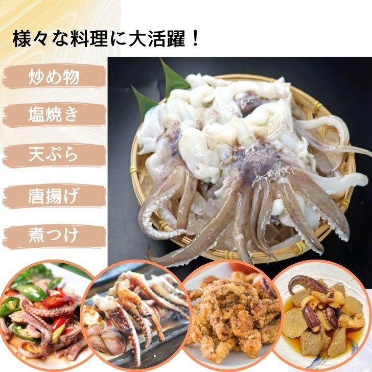 海老右衛門 アオリイカゲソ 2/4サイズ 1kg(1kgに約2〜4入り) 柔らかくて甘みの強いゲソ 塩焼き イカ下足 いか いかげそ バーベキュー おつまみ お弁当 業務用 |  | 16