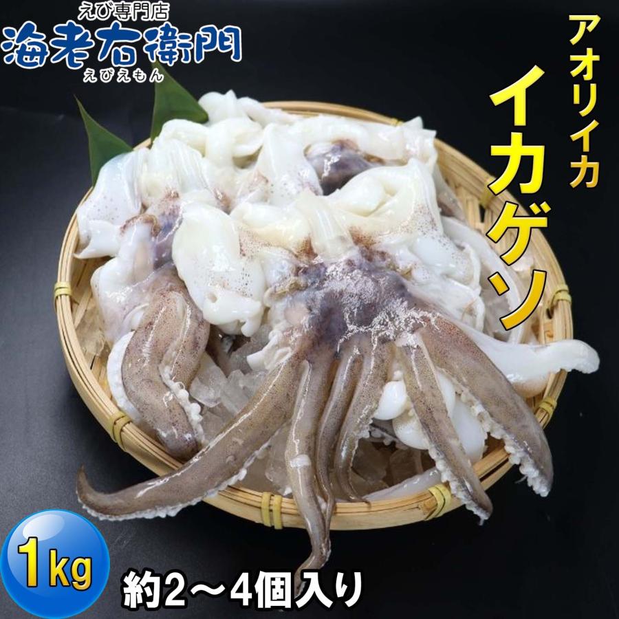 海老右衛門 アオリイカゲソ 2/4サイズ 1kg(1kgに約2〜4入り) 柔らかくて甘みの強いゲソ 塩焼き イカ下足 いか いかげそ バーベキュー おつまみ お弁当 業務用 |  | 03
