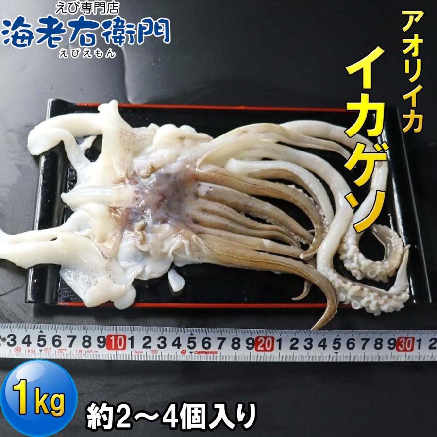 海老右衛門 アオリイカゲソ 2/4サイズ 1kg(1kgに約2〜4入り) 柔らかくて甘みの強いゲソ 塩焼き イカ下足 いか いかげそ バーベキュー おつまみ お弁当 業務用 |  | 07