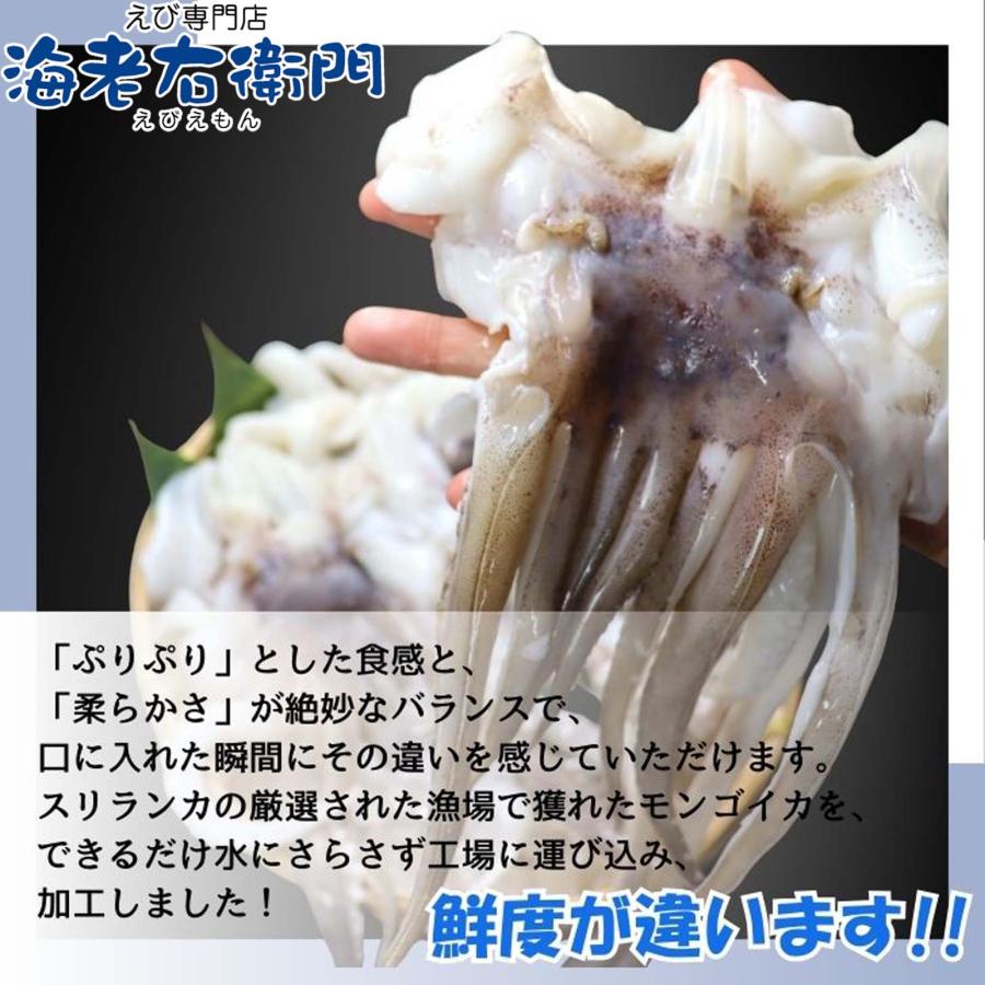 海老右衛門 アオリイカゲソ 2/4サイズ 1kg(1kgに約2〜4入り) 柔らかくて甘みの強いゲソ 塩焼き イカ下足 いか いかげそ バーベキュー おつまみ お弁当 業務用 |  | 04