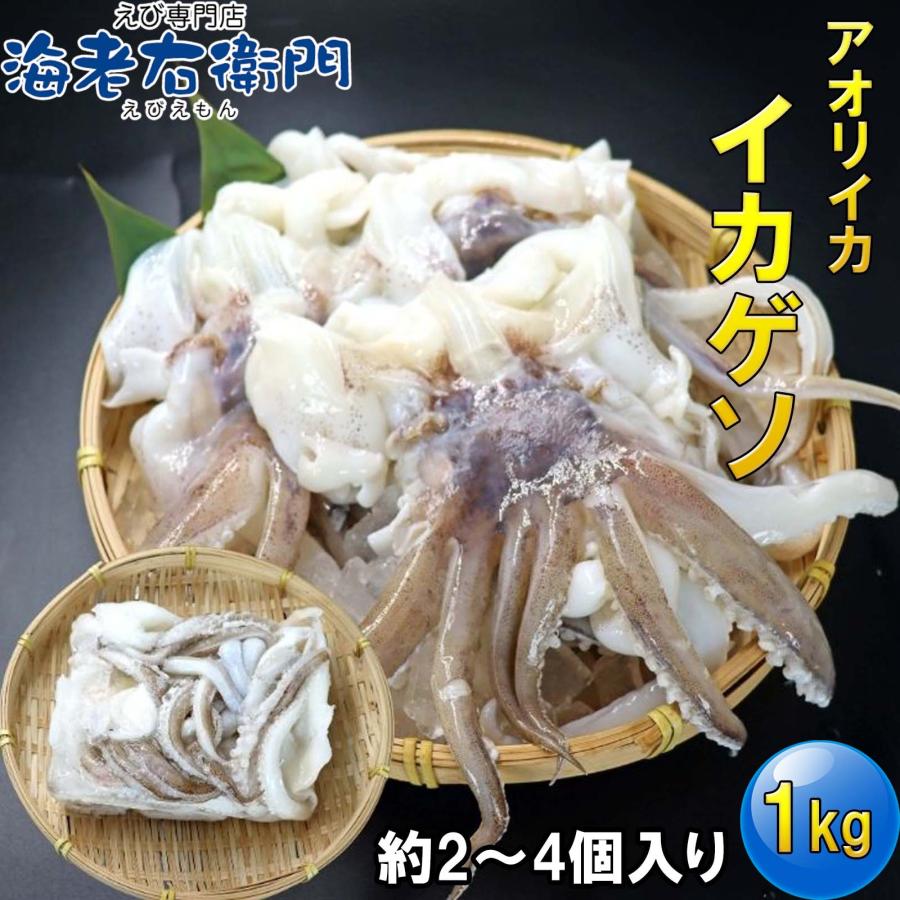 海老右衛門 アオリイカゲソ 2/4サイズ 1kg(1kgに約2〜4入り) 柔らかくて甘みの強いゲソ 塩焼き イカ下足 いか いかげそ バーベキュー おつまみ お弁当 業務用 |  | 15