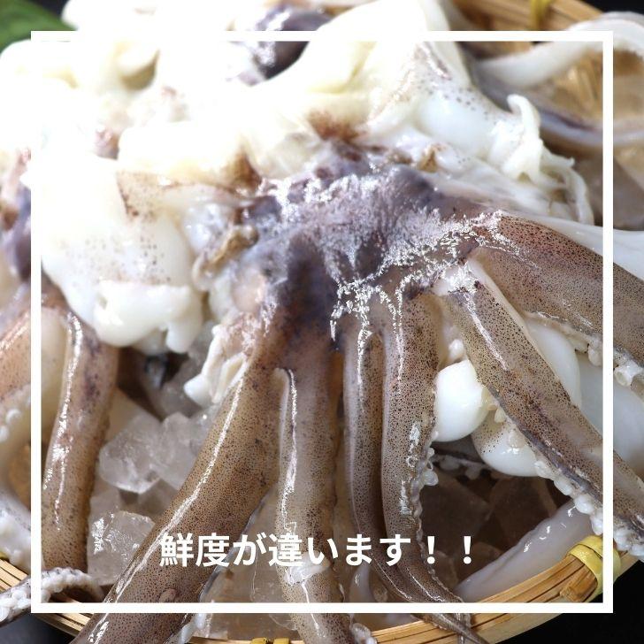 海老右衛門 アオリイカゲソ 2/4サイズ 1kg(1kgに約2〜4入り) 柔らかくて甘みの強いゲソ 塩焼き イカ下足 いか いかげそ バーベキュー おつまみ お弁当 業務用 |  | 08