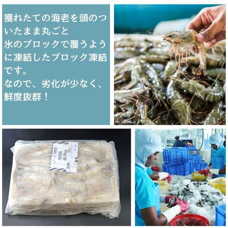 有頭 ブラックタイガー海老 40尾入り 1.3kg　長さ約16cm 1尾約32.5g 冷凍えび スリランカ バーベキュー エビフライ 塩焼き 天ぷら 業務用 |  | 13
