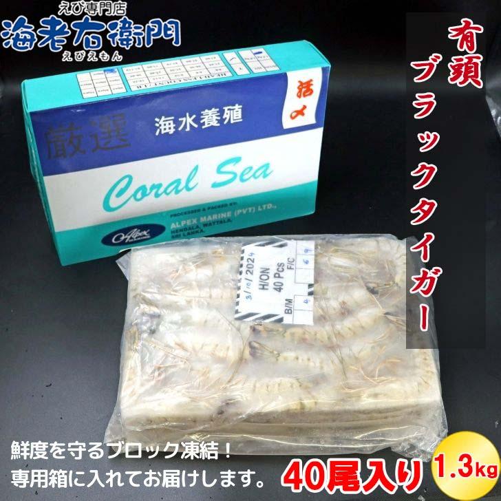 有頭 ブラックタイガー海老 40尾入り 1.3kg　長さ約16cm 1尾約32.5g 冷凍えび スリランカ バーベキュー エビフライ 塩焼き 天ぷら 業務用 |  | 19